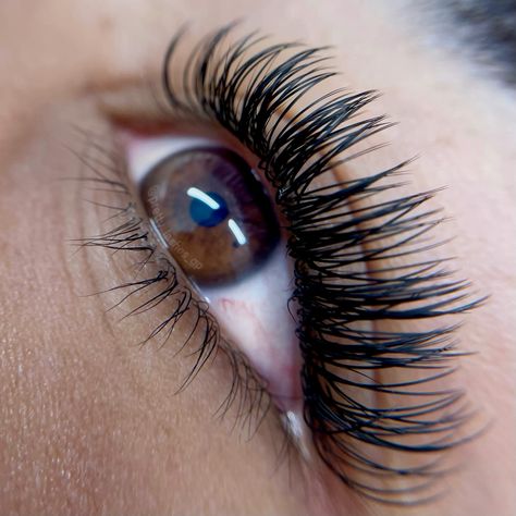 EXTENSION CILS EASY FAN CC LE MONDE LESTHETIQUE