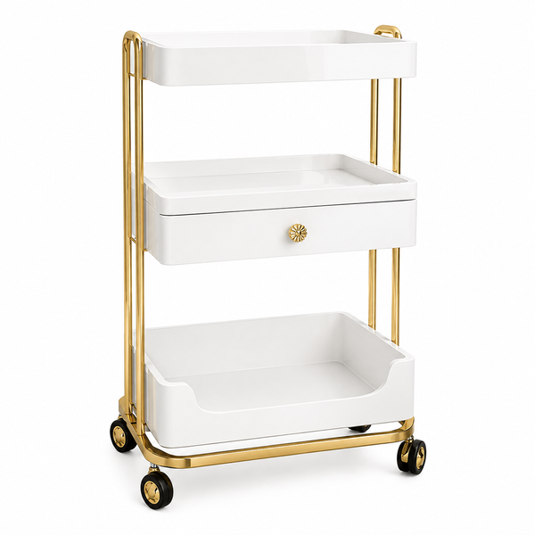 Chariot de Beauté Multifonction Mobile XS-TR01 – Salon & Institut