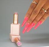 COLLECTION VENDEENI 144/2 COULEURS A L'UNITED