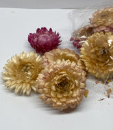 FLEURS POUR PEDICURE SEC