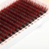 EXTENCIONS CILS À CILS DÉGRADÉ