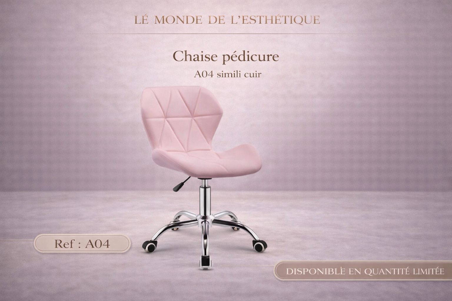 A04 CHAISES ROULLETTE LE MONDE LESTHETIQUE