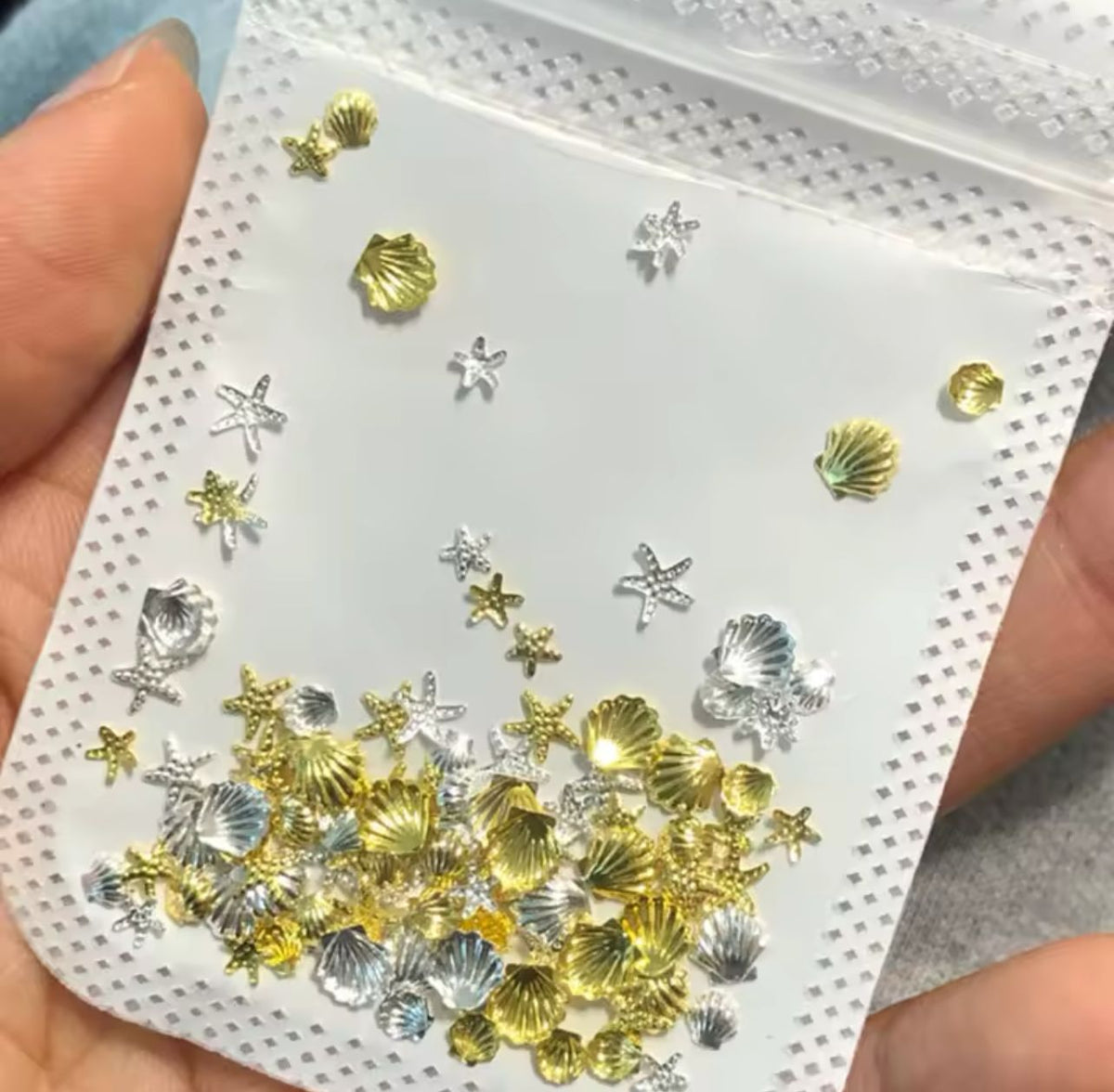 SACHET COQUILLAGE LE MONDE LESTHETIQUE