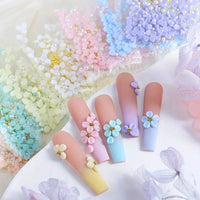 DECORATION PETALE ACRYLIQUE AVEC BILLE DORE